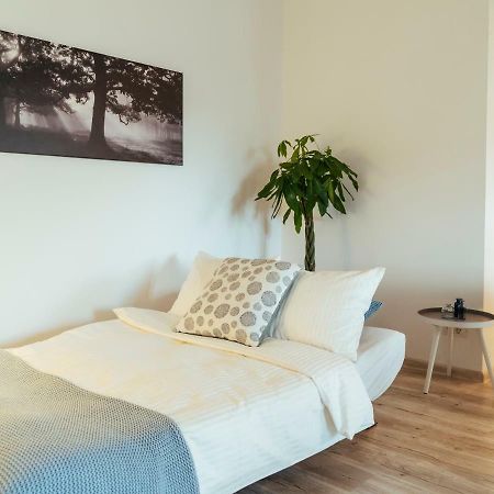 Bright And Spacious Central Apartment- Piata Amzei Bucureşti Exterior foto